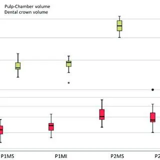 Distance between the Pulp Room Floor and Furkation