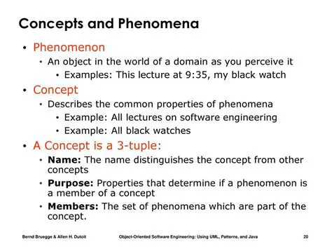 Distinguishing Phenomena from Other Concepts