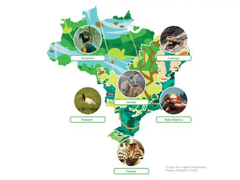 Diversidade de ecossistemas