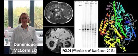 DNA Polymerase Dysfunction