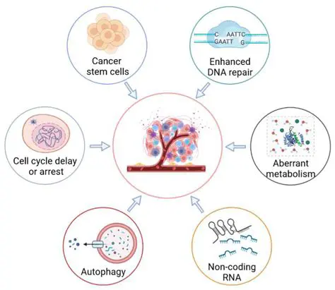 DNA replication in cancer cells