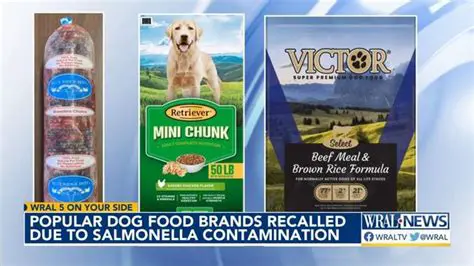 Dog Food Salmonella: Understanding the Risks and Protecting Your Canine Companion in Canada