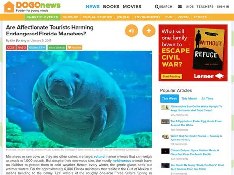 Dogo News Today: Latest Updates, Breeds, Training, and Health Insights