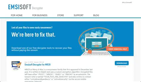 Download the NCryptSec Decrypter