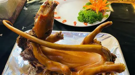 獨行俠 對 馬刺：德州籃壇宿敵的傳奇對決與未來展望