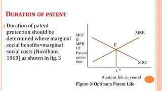 Duration of Patent Protection