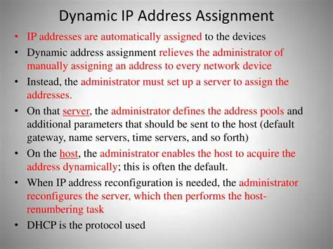 Dynamic IP Address Assignment