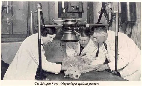 Early Beginnings of Veterinary Medicine
