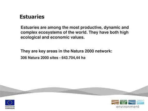 Ecological and Economic Values