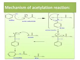 Economic Analysis of the Acetanilide Factory