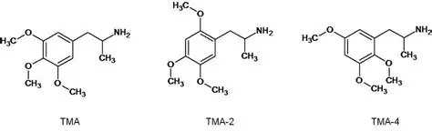 Efeitos das feniletilaminas no organismo