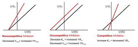 Effect of Competitive Inhibition on Km