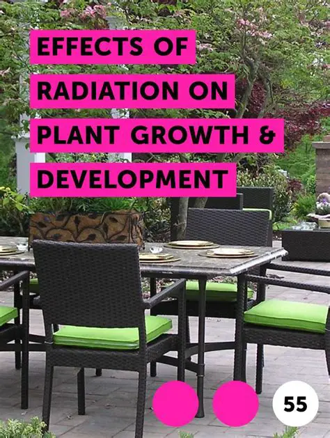 Effect of Gamma Ray Radiation on Plant Growth