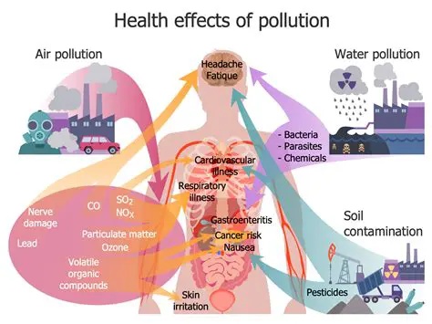 Effects of Contaminants on the Environment