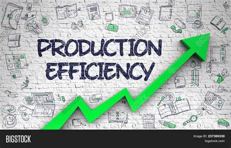 Efficiency Analysis of Production Input Use
