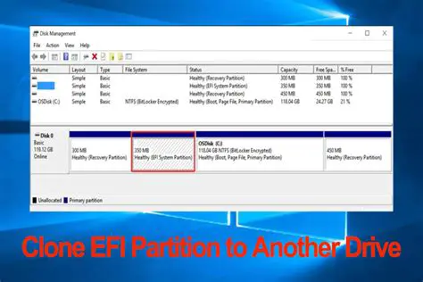 Unlocking the Mystery: What is the EFI System Partition on External Drives?
