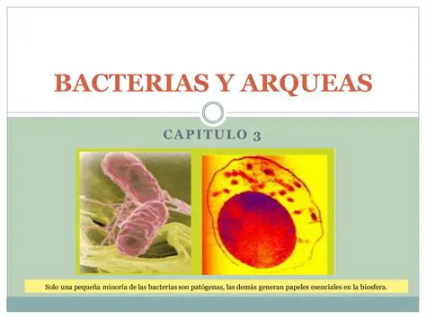 Ejemplos de bacterias y arqueas que realizan fototrofia