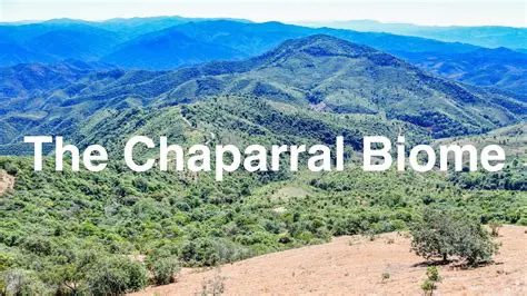 Ejemplos de Biomas Chaparral en el Mundo