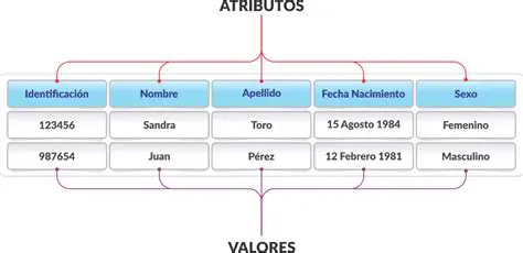 Ejemplos de Entidades y Atributos