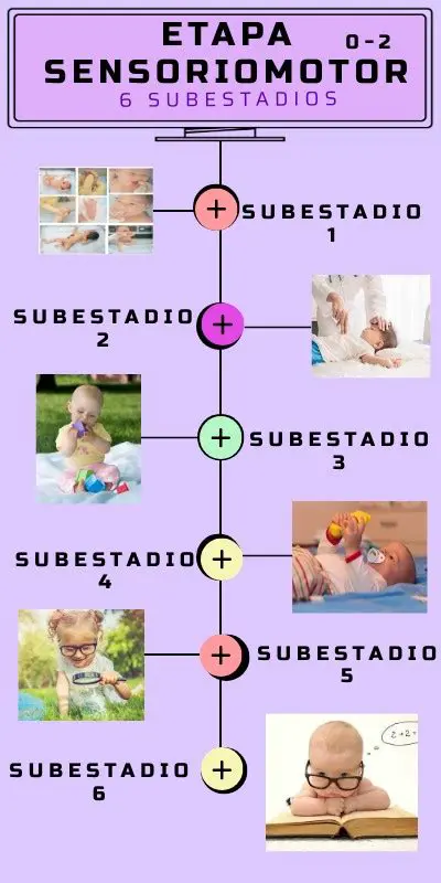 Ejemplos de la Etapa Sensorimotora