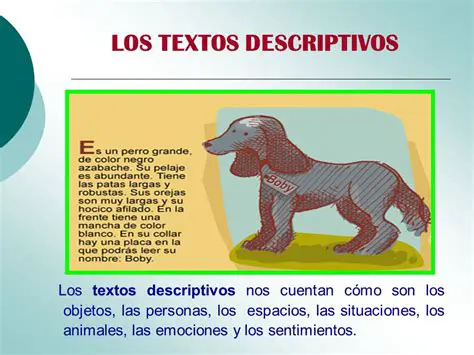 Ejemplos de textos descriptivos