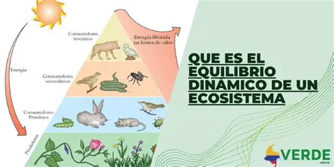 El equilibrio del ecosistema