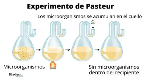 El experimento de la flauta de Pasteur