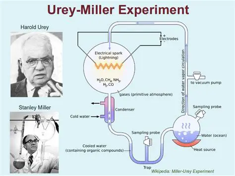 El experimento de Miller y Urey
