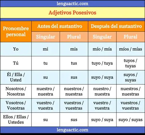 El Uso de los Adjetivos Posestivos