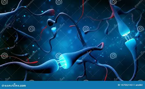 Electrical and chemical signals