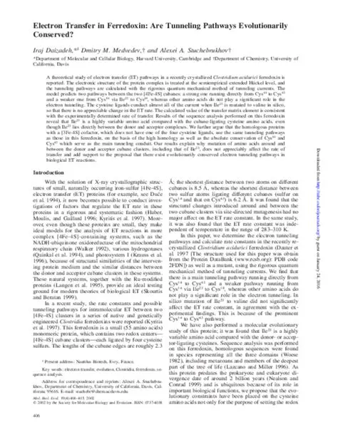 Electron Transfer in Ferredoxin