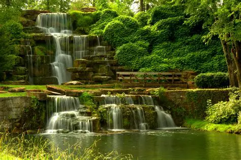 Elementos Naturais da Paisagem