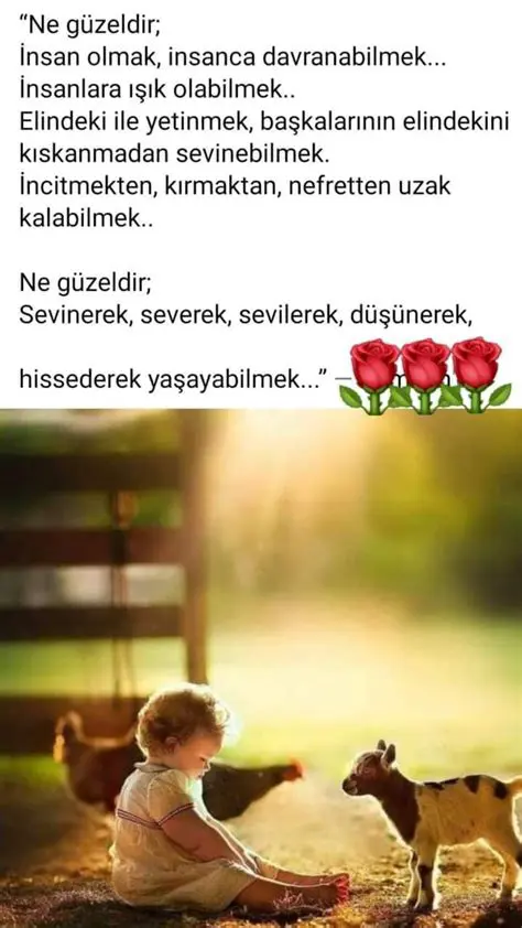 Elindeki ile yetinemeyenin nedenleri