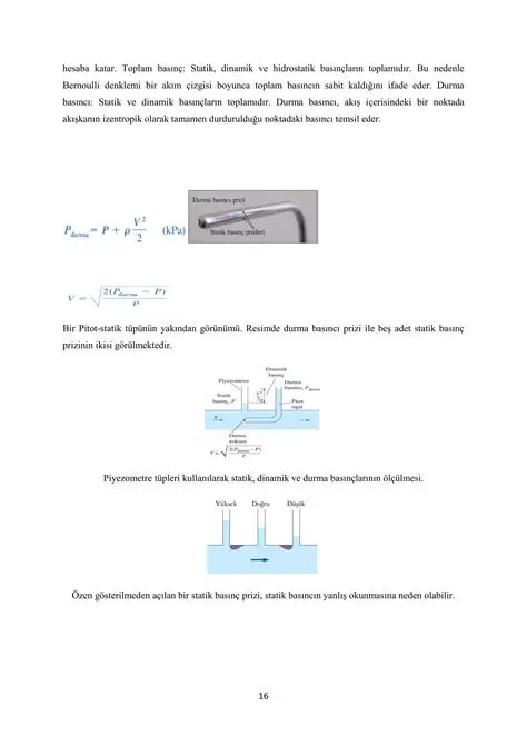 Emek ve Tembelik Denklemleri