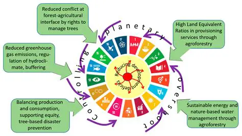 Encourage the development of agroforestry systems