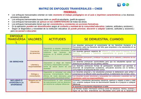 Enfoques Transversales en el CC SS