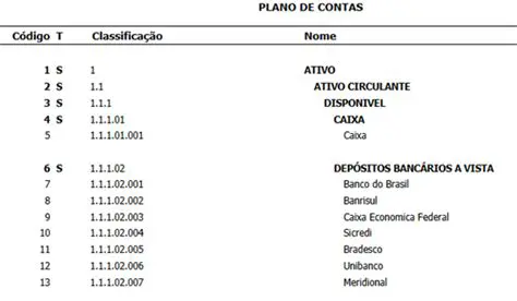 Entenda a estrutura da conta