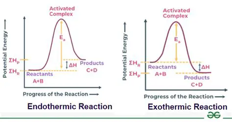 Entropy and the Exothermic Process