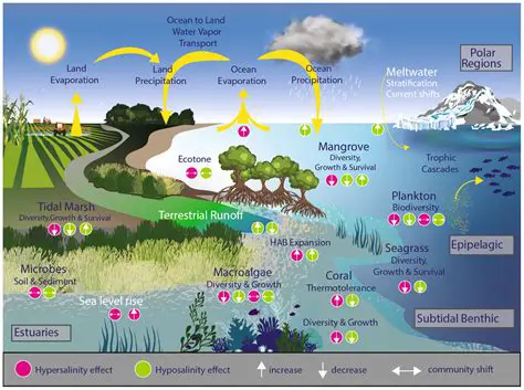 Environment and Level Changes