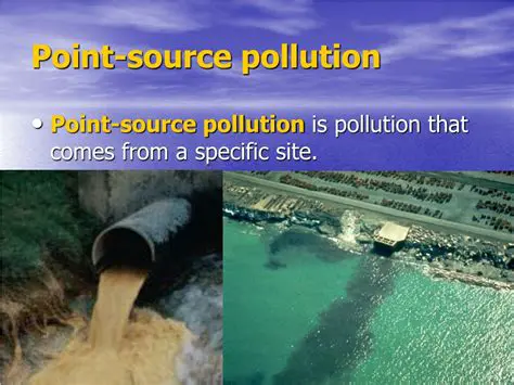 Environmental Impact of Point Source Pollution