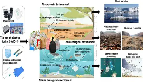 The Environmental Impact of Plastics: A Comprehensive Overview