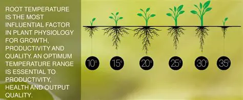 Environmental temperature optimization