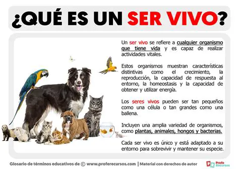 Escolhendo um Novo Ser Vivo para Observar