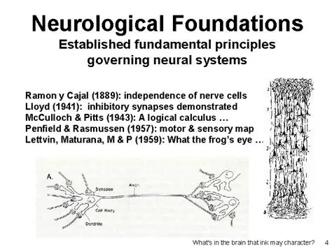 Established fundamental principles