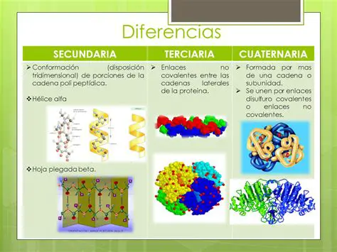 Estructuras terciarias y pKa