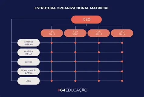 Estrutura Organizacional Matricial