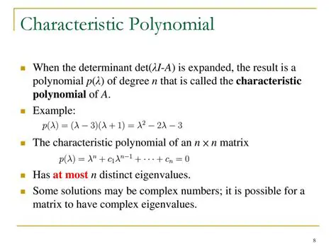 Evaluating the Characteristic Polynomial