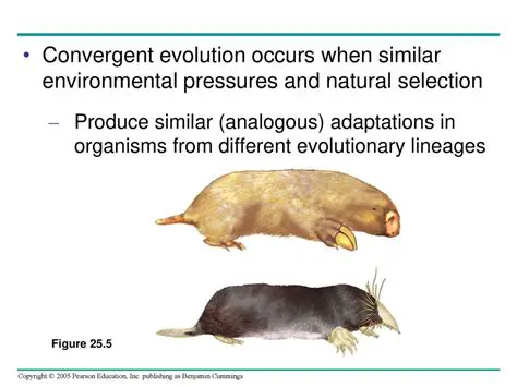 Evolutionary Pressures and Adaptations