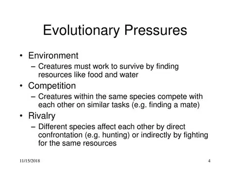 Evolutionary Pressures on Courtship