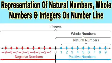 Example of an Integer that is Neither a Whole Number nor a Natural Number